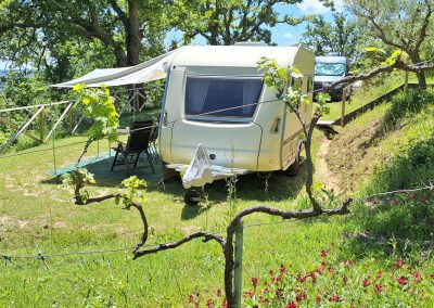 Seen through the branches of a new tree, a camper stands on camping Le Farfalle